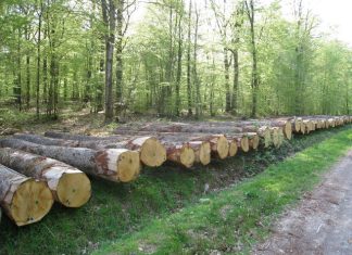 ACTIVITE ECONOMIQUE INTERNE : Consolidation de l’activité en mai 2019