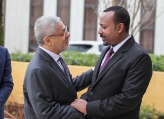 Ethiopie : Les Emiratis débloquent 100 millions de dollars pour les PME