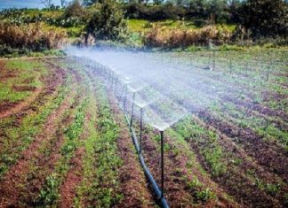 La production agricole mondiale devrait progresser de 15 % sur la prochaine décennie