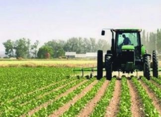 Oragroup : 20 millions d’euros pour appuyer les campagnes agricoles en Afrique de l’Ouest