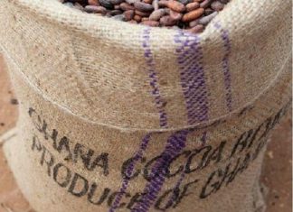 Ghana : le prix minimum du cacao connaîtra en 2019/2020 sa première hausse depuis trois saisons