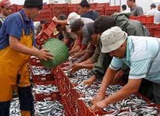 Maroc : légère baisse du chômage à 8,5%