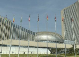 Agenda 2063 : secteur privé et décideurs politiques appelés à multiplier les PPP