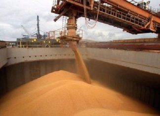 Commerce: L’Algérie regagne sa position de premier importateur de blé de l’UE devant l’Arabie Saoudite