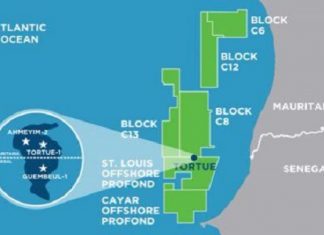 Sénégal/Mauritanie : nouvelle découverte de gaz naturel dans le complexe Grand Tortue