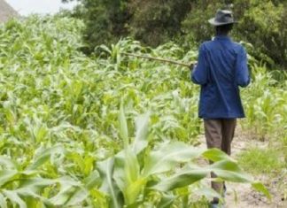 Sénégal: trois nouveaux accords pour plus de 300 millions $ destinés à des projets de développement