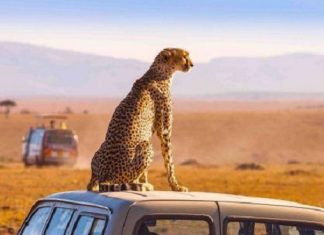En 2018, l’Afrique a été la deuxième région touristique la plus dynamique au monde