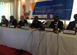 Électrification rurale : 300 villages connectés par mini-centrales solaires