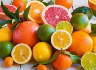 Tunisie : la production d’agrumes attendue en baisse de 17 % en 2019/2020