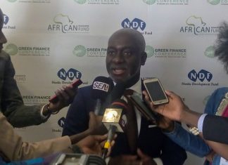 Financement de la croissance verte en Afrique : L’implication du secteur privé financier, inévitable