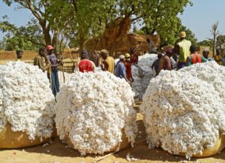 Exportations de biens : Le coût évalué à 137,4 milliards au mois d’août 2019