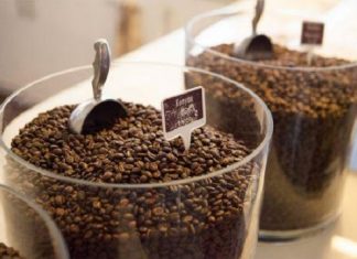 Kenya : les achats de café de spécialité par les négociants américains chutent de 57 % en 2018/2019