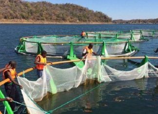 Mozambique : le FIDA apportera 43 millions $ en faveur de l’aquaculture à petite échelle