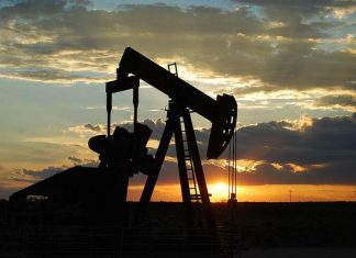 Santé et énergie : L’Opep contribuera à stabiliser le marché pétrolier en cas de coronavirus