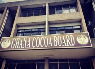 Le Ghana anticipe une chute de 1 milliard $ de ses recettes d’exportation de cacao en 2019/2020