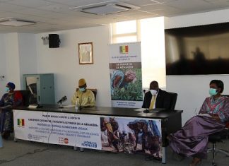 Réponse FAO au COVID-19 au Sénégal : Lancement de l’initiative « Le panier de la ménagère »