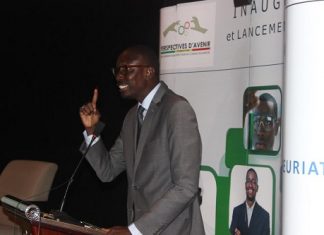 L’Afrique devra t-elle continuer à dépendre de la production et de la vente des matières premières pour consolider ses recettes budgétaires ou diversifier son économie pour améliorer sa place dans le commerce mondial ?