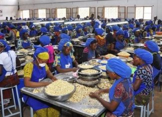 Côte d’ivoire : des pertes importantes pour les filières noix de cajou et coton