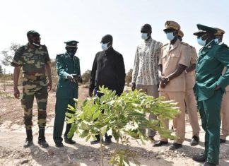 Préservation de la biodiversité : Quand la protection de la forêt de Mbao devient une nécessité