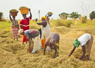 POUR RENFORCER L’AGRICULTURE ET L’ALIMENTATION POST COVID-19: La Fao lance sa Plateforme de données géospatiales Main dans la main