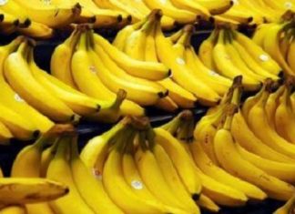 Fruits :L’industrie mondiale de la banane face à la nécessité de la durabilité