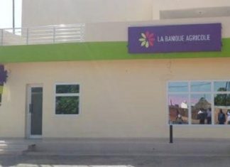 Sénégal : la Banque agricole (LBA) octroie 4,6 milliards Fcfa pour la riziculture dans la vallée du fleuve Sénégal