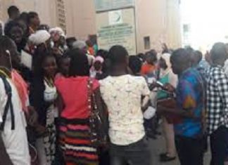 Marché du travail au Sénégal : 65404 contrats sont produits en 2019