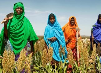 Echanges commerciaux : « Leur intensification bénéficie économiquement aux femmes » selon la Banque mondiale