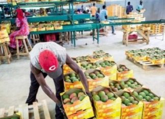 Importations : Une forte hausse enregistrée en juin 2020