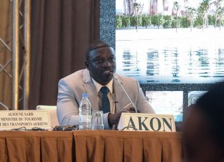 « AKON CITY » : Le projet de la ville écologique, digne du WAKANDA lancé par Akon
