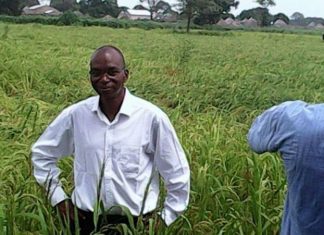 Nioro : Moussa Baldé oriente les producteurs vers l’agro-business