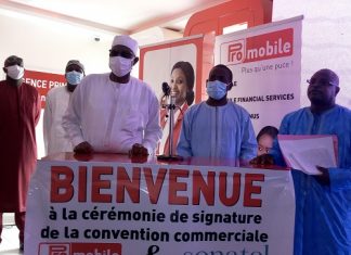 TÉLÉCOMMUNICATIONS : Naissance du premier Mvno au Sénégal