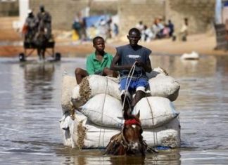 Pluies diluviennes:Le Sénégal sous les eaux…