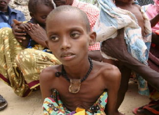 ALERTE : SOUS-ALIMENTATION DANS LE MONDE : « La pandémie pourrait faire augmenter de 132 millions le nombre de personnes », selon la FAO