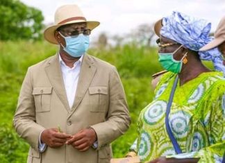Tournée économique : Macky Sall visite des champs dans le Saloum et affiche sa satisfaction
