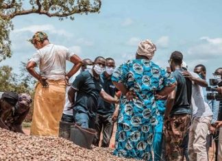 PROJET D’APPUI ET VALORISATION DES INITIATIVES ENTREPRENEURIALES DES FEMMES ET DES JEUNES (PAVIE I) : Les premiers résultats promoteurs d’après la Bad