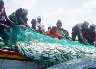 FINANCE CLIMAT : Des acteurs de la pêche bénéficient d’ un renforcement de capacité en formulation de projet