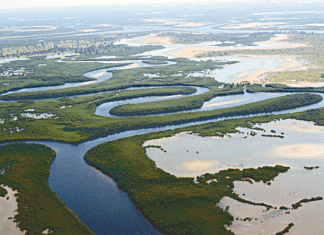 RESERVE DE BIOSPHERE DU DELTA DU SALOUM : Vers un décret instituant le plan de zonage