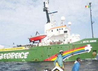 AFFAIRE DES LICENCES DE PECHE : La polémique se poursuit entre ministère de la pêche et Greenpeace Afrique