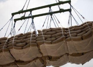 La Chine est devenue le premier importateur mondial de produits agricoles en 2019