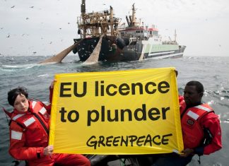 GREENPEACE AFRIQUE TIRE SUR L’UE : « L’Europe veut le poisson du Sénégal mais rejette ses migrants »