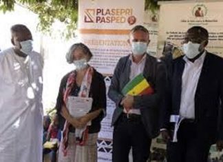 Soutien au secteur privé du PLASPERI/PASPED : Subventions aux entreprises et don de masques pour leurs employés