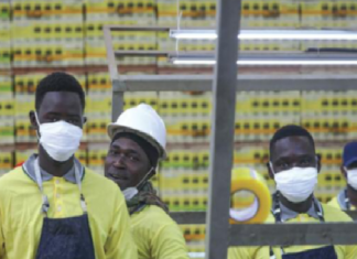 ENTREPRISES INDUSTRIELLES : Impact négatif de la pandémie sur l’emploi saisonnier