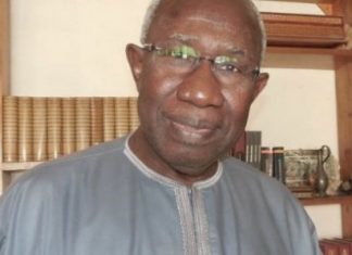Nécrologie: Iba Der Thiam, l’éminent historien est parti à jamais