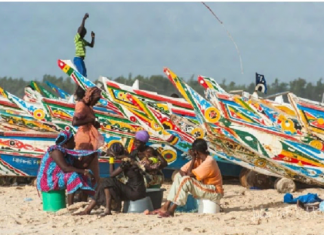 BLOCAGE SUR LE PROCESSUS D’ADHESION DU SENEGAL A LA FITI : Le secteur de la pêche encore loin de la Transparence