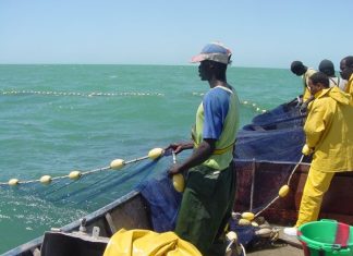 POSITION DE LA COAPA SUR L’ACCORD DE PECHE : « L’UE demande et paie simplement au Sénégal un droit d’entrée dans ses eaux »
