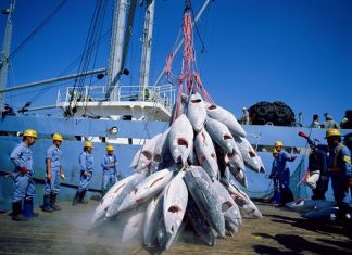 PARTENARIAT DE PECHE AVEC LE SENEGAL : L’Union européenne parle d’accord transparent, et réglementé