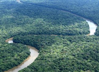 ACTION CLIMATIQUE DANS LES PAYS EN DEVELOPPEMENT : La banque mondiale ambitionne de fixer à 35%la part de ses financements