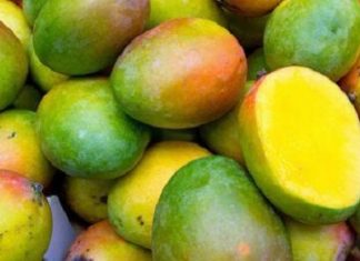 Sénégal : les exportations de mangues ont chuté à 13 000 tonnes en 2020