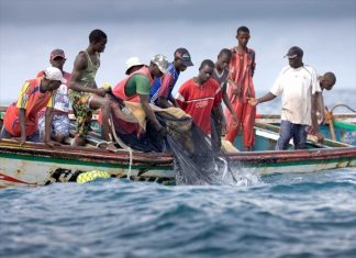 PECHE : Baisse des débarquements au troisième trimestre 2020